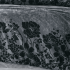 Obliečky z bavlneného saténu PANOROMA 160x220 (2) / 50x70 (4)